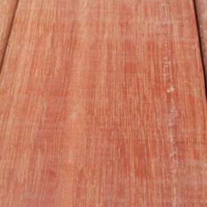 brazilian-rosewood-Massaranduba
